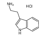 343-94-2 色胺盐酸盐