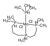 115777-29-2 structure, C14H40Cl2MoP4