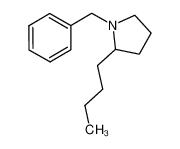 1260380-74-2 1-benzyl-2-butylpyrrolidine