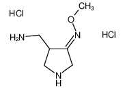 4-氨基甲基吡咯烷-3-酮甲基肟双盐酸盐