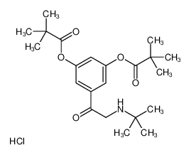 406919-51-5 structure, C22H34ClNO5