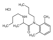 N-butyl-2-(butylamino)-N-(2,6-dimethylphenyl)propanamide,hydrochloride 78218-43-6