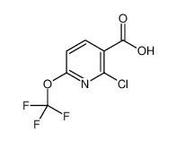 2-chloro-6-(trifluoromethoxy)pyridine-3-carboxylic acid 1221172-04-8