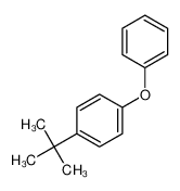 5331-28-2 1-叔丁基-4-苯氧基苯