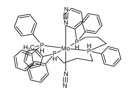 105560-48-3 structure, C49H56MoN4P4