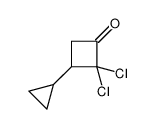 112641-87-9 2,2-dichloro-3-cyclopropylcyclobutan-1-one