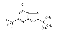3-叔丁基-7-氯-5-(三氟甲基)吡唑并[1,5-a]嘧啶