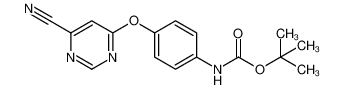 tert-butyl N-[4-(6-cyanopyrimidin-4-yl)oxyphenyl]carbamate 943313-34-6