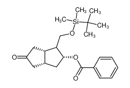 81266-62-8 structure, C22H32O4Si