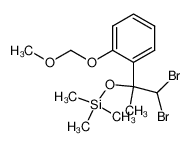 737767-23-6 {2,2-dibromo-1-[2-(methoxymethoxy)phenyl]-1-methylethoxy}trimethylsilane