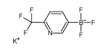 potassium,trifluoro-[6-(trifluoromethyl)pyridin-3-yl]boranuide 1245906-75-5