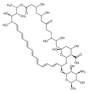 (4E,6E,8E,10E,12E,14E,16E)-3-(4-amino-3,5-dihydroxy-6-methyloxan-2-yl)oxy-19,25,27,32,33,35,37-heptahydroxy-18,20,21-trimethyl-23,29-dioxo-22,39-dioxabicyclo[33.3.1]nonatriaconta-4,6,8,10,12,14,16-heptaene-38-carboxylic acid