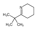 6-(2-甲基-2-丙基)-2,3,4,5-四氢吡啶