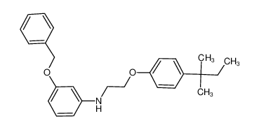 3-(Benzyloxy)-N-{2-[4-(tert-pentyl)phenoxy]-ethyl}aniline 1040689-00-6