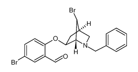 2-[(3-benzyl-7-bromo-3-azabicyclo[2.2.1]heptan-5-yl)oxy]-5-bromobenzaldehyde 295787-41-6