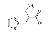 2-(aminomethyl)-3-thiophen-2-ylpropanoic acid