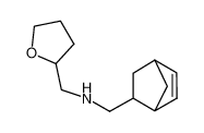 Bicyclo[2.2.1]hept-5-en-2-ylmethyl-(tetrahydro-furan-2-ylmethyl)-amine 1005263-32-0