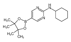 2-(Cyclohexylamino)pyrimidine-5-boronic acid, pinacol ester 1218789-35-5