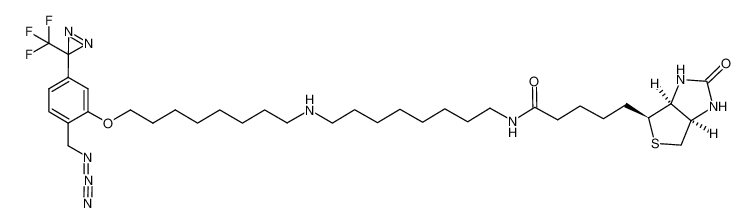 943601-19-2 structure