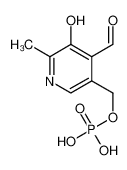 54-47-7 磷酸吡哆醛