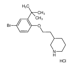 3-{2-[4-Bromo-2-(tert-butyl)phenoxy]-ethyl}piperidine hydrochloride 1220027-53-1