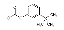 49561-88-8 间叔丁基氯甲酸苯酯