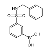 N-Benzyl 3-boronobenzenesulfonamide 690662-91-0