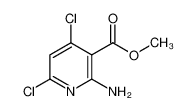 1044872-40-3 structure, C7H6Cl2N2O2