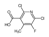 2,6-二氯-5-氟-4-甲基吡啶-3-羧酸