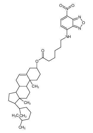 (3β,20R)-Cholest-5-en-3-yl 6-[(7-nitro-2,1,3-benzoxadiazol-4-yl)a mino]hexanoate 201731-19-3