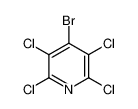 4-Bromo-2,3,5,6-tetrachloropyridine 23995-94-0
