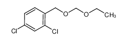 1058649-24-3 2,4-dichloro-1-[(ethoxymethoxy)methyl]benzene