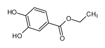 3,4-二羟基苯甲酸乙酯