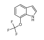 7-(Trifluoromethoxy)-1H-indole 396075-91-5