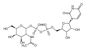 UDP-N-acetyl-α-D-galactosamine 7277-98-7