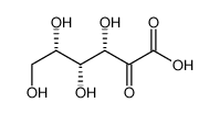 2-酮基-L-古龙酸