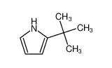 2-tert-butyl-1H-pyrrole 5398-58-3