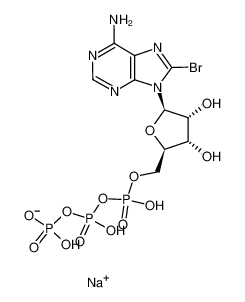 tetrasodium,[[[(2R,3S,4R,5R)-5-(6-amino-8-bromopurin-9-yl)-3,4-dihydroxyoxolan-2-yl]methoxy-oxidophosphoryl]oxy-oxidophosphoryl] phosphate 81035-56-5