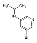 5-bromo-N-propan-2-ylpyridin-3-amine 1201643-57-3