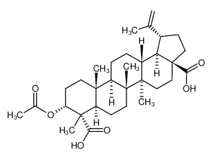 3α-acetoxy-lup-20(29)-ene-23,28-dioic acid 83725-41-1