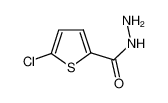 5-氯-2-噻吩甲酰肼