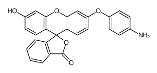 2-[3-(4-aminophenoxy)-6-oxoxanthen-9-yl]benzoic acid 359010-70-1