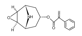 aponorscopolamine 25650-56-0