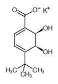 (5S,6R)-4-tert-butyl-5,6-dihydroxycyclohexa-1,3-diene-1-carboxylate 205639-92-5