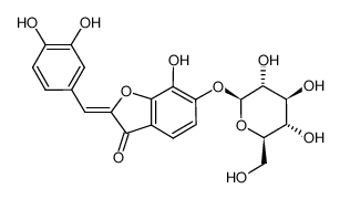 (2Z)-2-[(3,4-dihydroxyphenyl)methylidene]-7-hydroxy-6-[(2S,3R,4S,5S,6R)-3,4,5-trihydroxy-6-(hydroxymethyl)oxan-2-yl]oxy-1-benzofuran-3-one 490-54-0