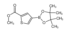 4-(4,4,5,5-四甲基-2-1,3,-二噁硼烷基)噻吩2-甲酸甲酯