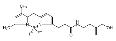 926012-31-9 structure, C19H26BF2N3O2+