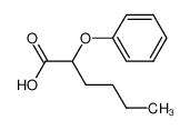 19102-09-1 2-phenoxyhexanoic acid