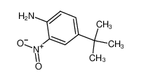 4-(Tert-Butyl)-2-Nitroaniline 6310-19-6