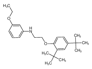 N-{2-[2,4-Di(tert-butyl)phenoxy]ethyl}-3-ethoxyaniline 1040685-69-5